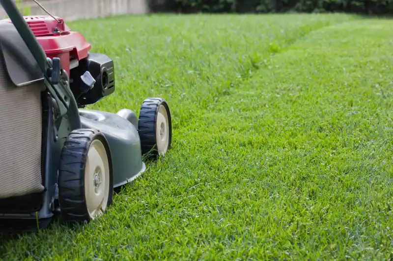 Can you mow wet grass in Spokane Valley, WA 