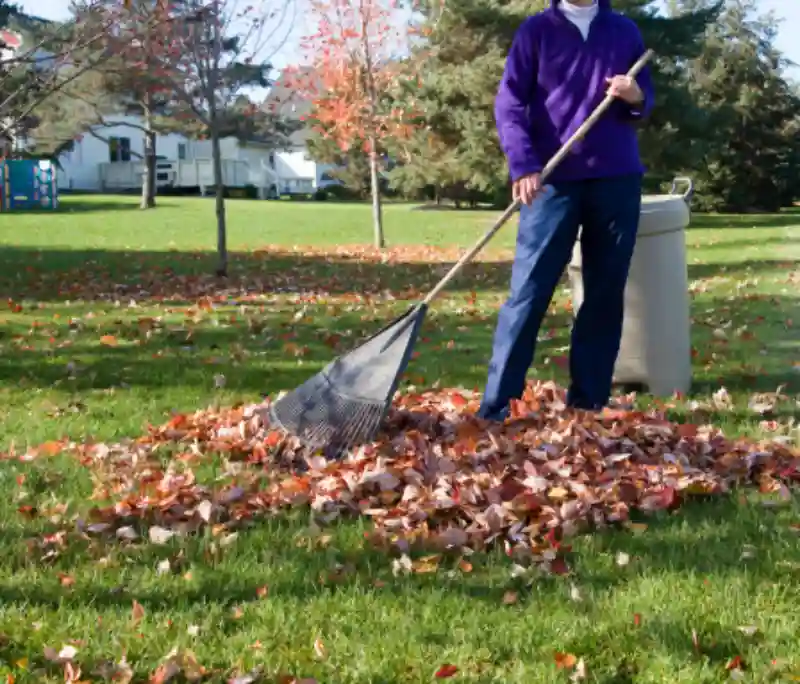 How To Clean A Backyard in Spokane Valley, WA 