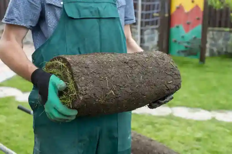 How long after installing sod can you walk on it in Spokane Valley, WA 