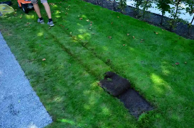 How long after installing sod can you walk on it in Spokane Valley, WA 