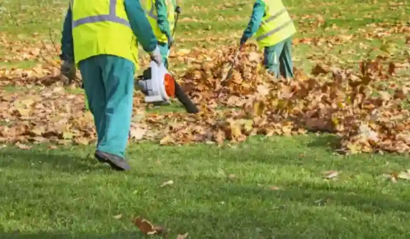 How to clear a yard full of weeds in Spokane Valley, WA 