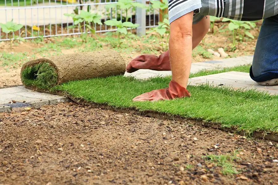 How to lay sod over existing lawn in Spokane Valley, WA 