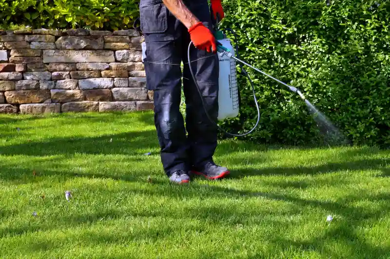 Professional Lawn Fertilization Service in Spokane Valley, WA 