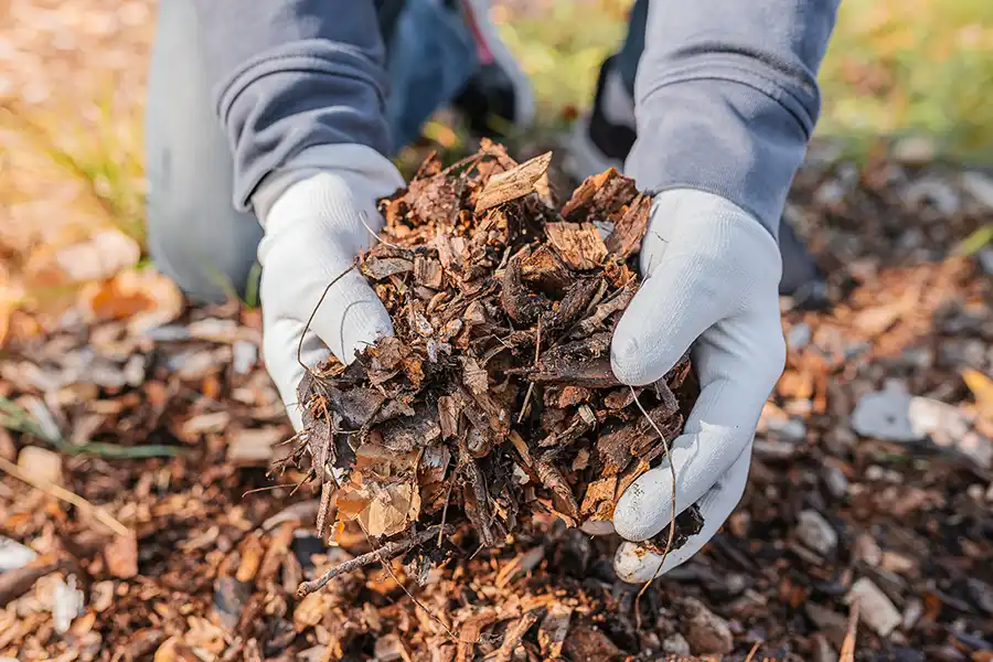 Reliable Mulching Service in Spokane Valley, WA 