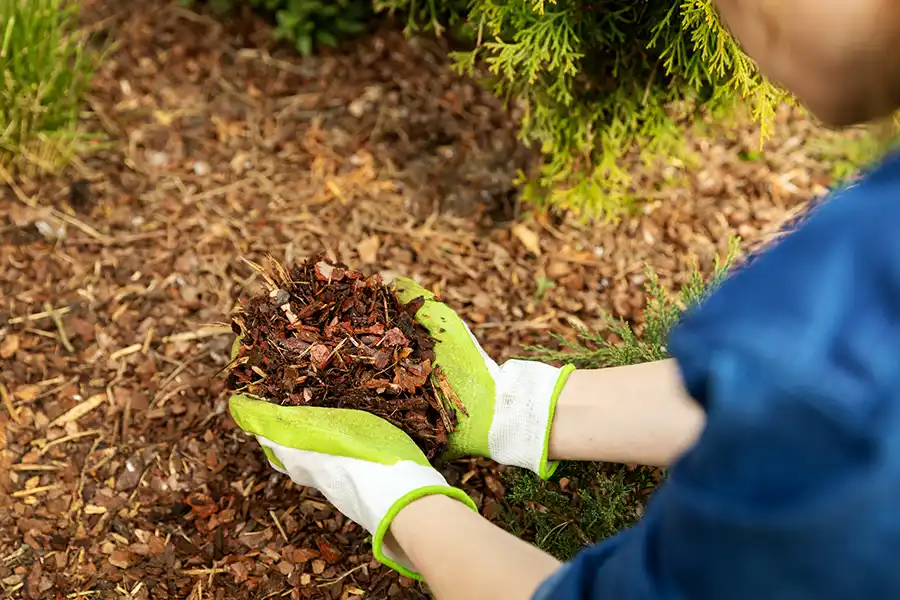 Professional Mulching Service in Spokane Valley, WA 