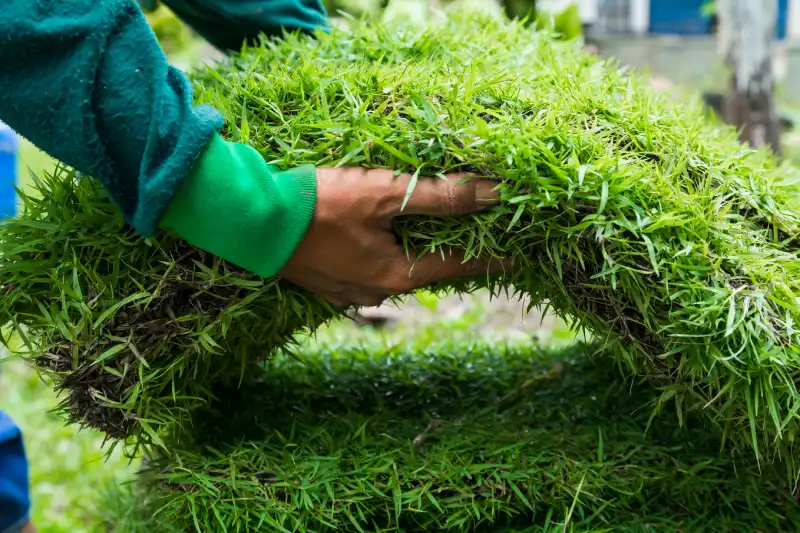 Reliable Sod Installation Service in Spokane Valley, WA 