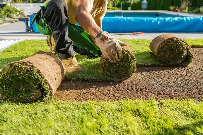 Reliable Sod Installation Service in Spokane Valley, WA 