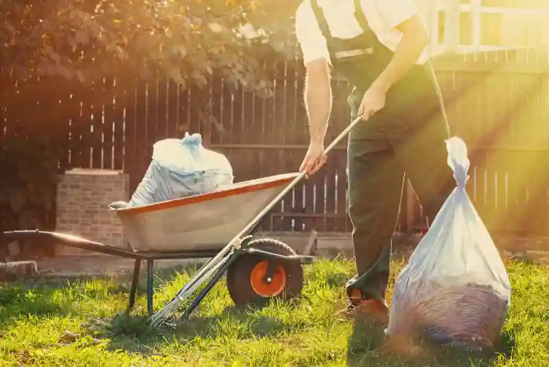 Professional Yard cleanup Service in Spokane Valley, WA 