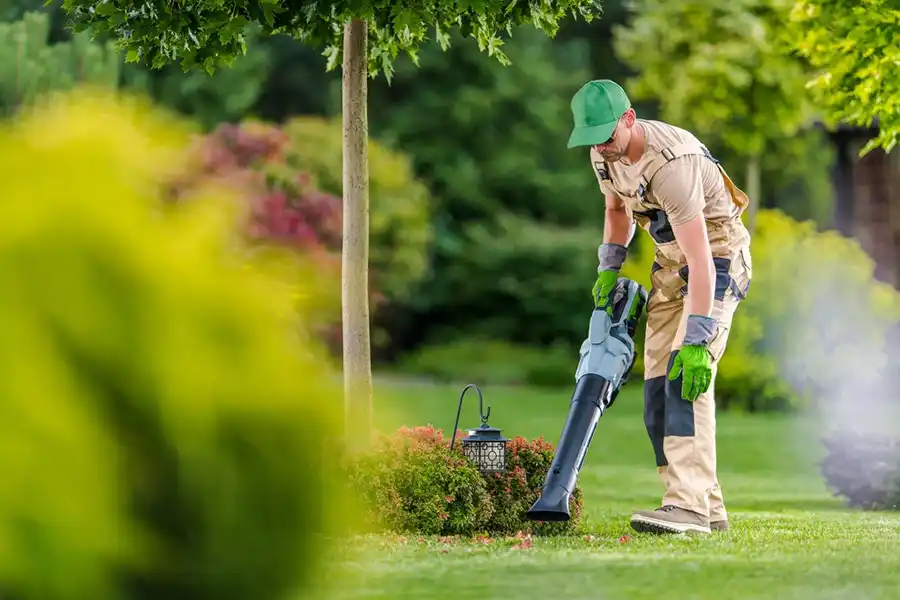 Reliable Yard cleanup Service in Spokane Valley, WA 