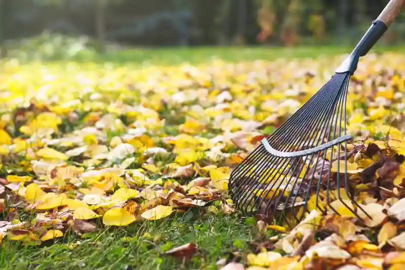 Outstanding Yard cleanup Service in Spokane Valley, WA 